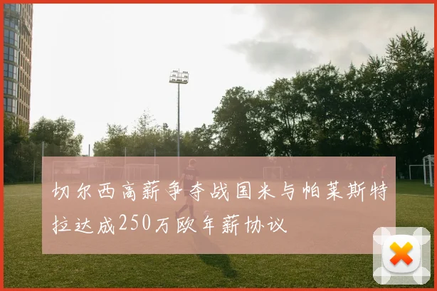 切尔西高薪争夺战国米与帕莱斯特拉达成250万欧年薪协议